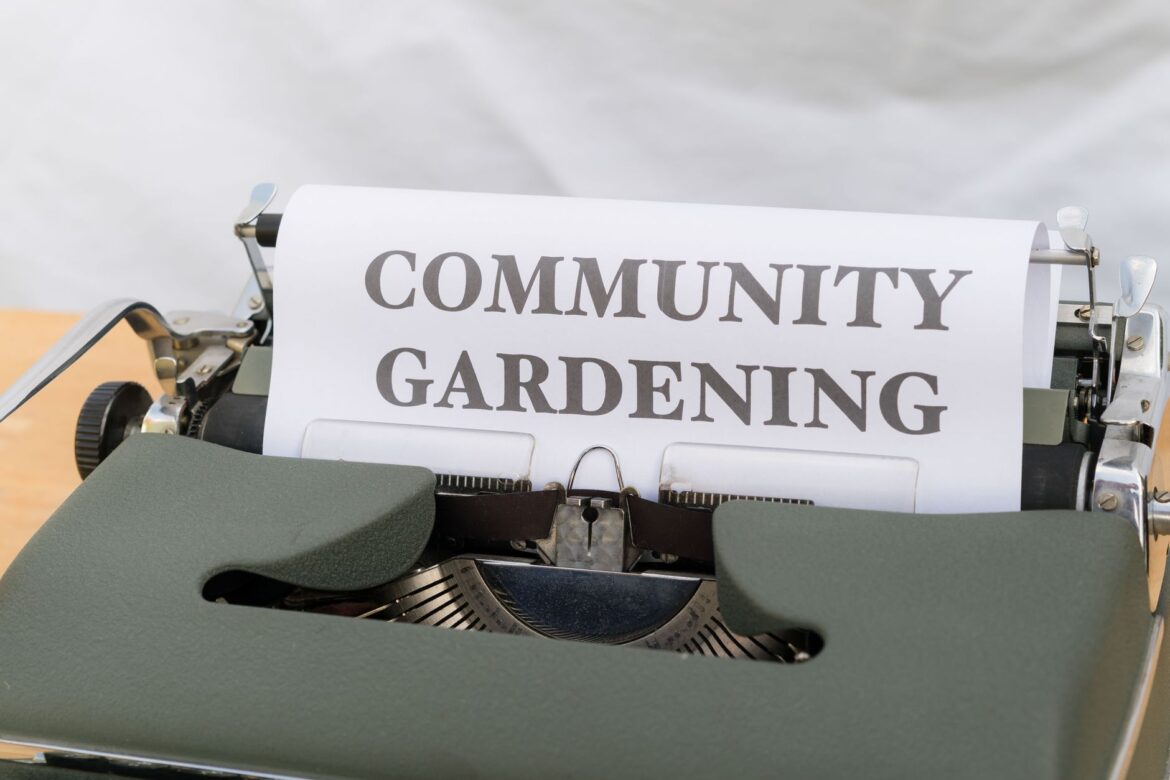 Community Garden Setup Guide UK: From Empty Plot to Thriving Village Space - ilustracja artykulu