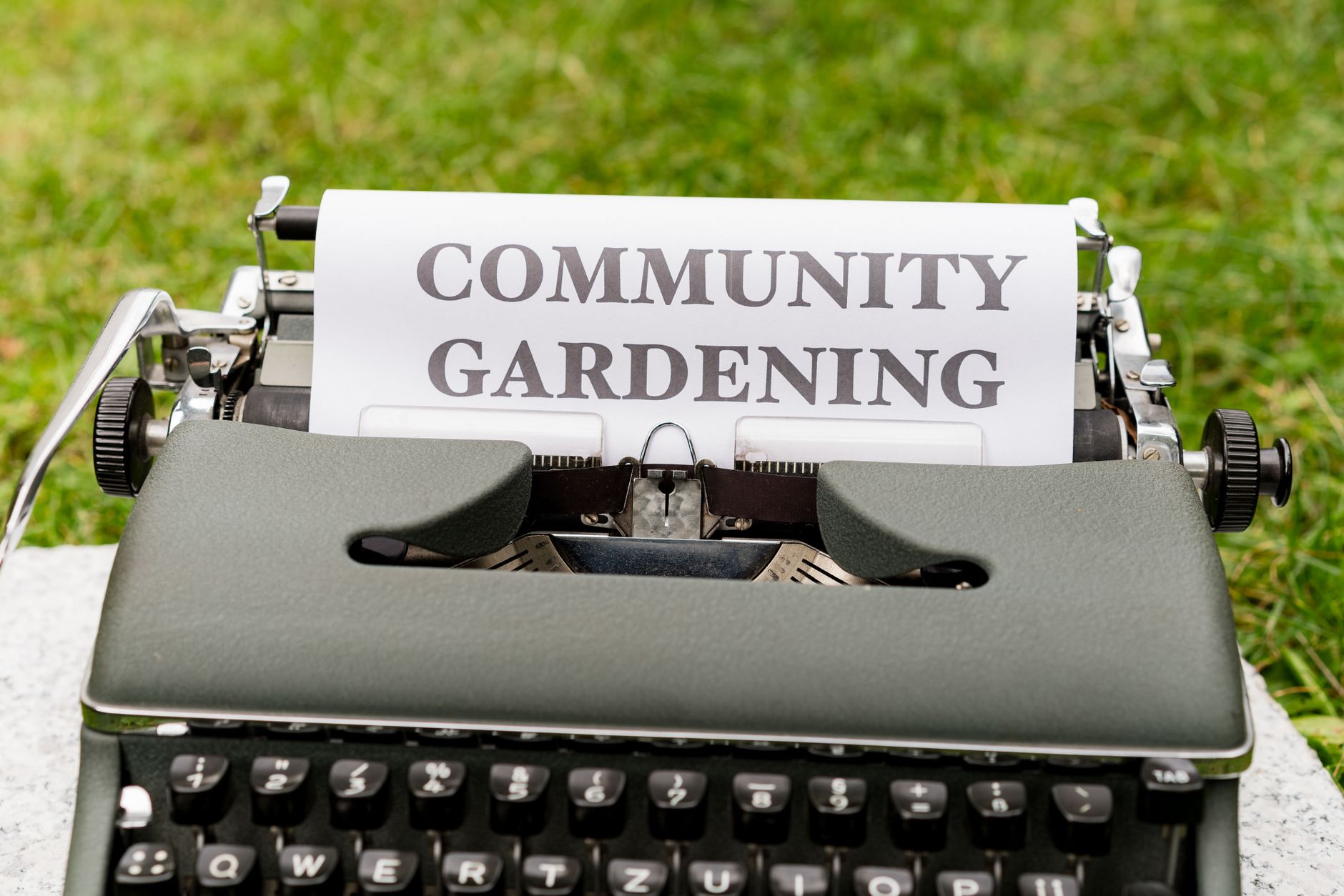 Community Garden Setup Guide UK: From Empty Plot to Thriving Village Space - zdjecie w tresci