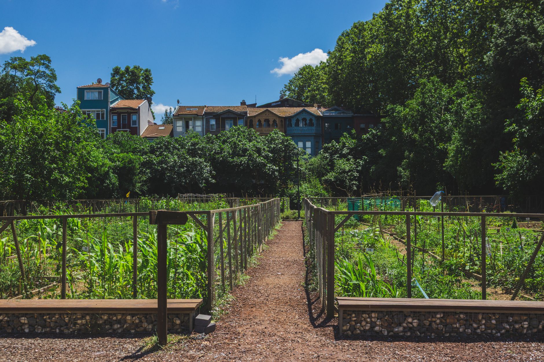 Allotment Waiting List How Apply: A Practical Village Guide - zdjecie w tresci