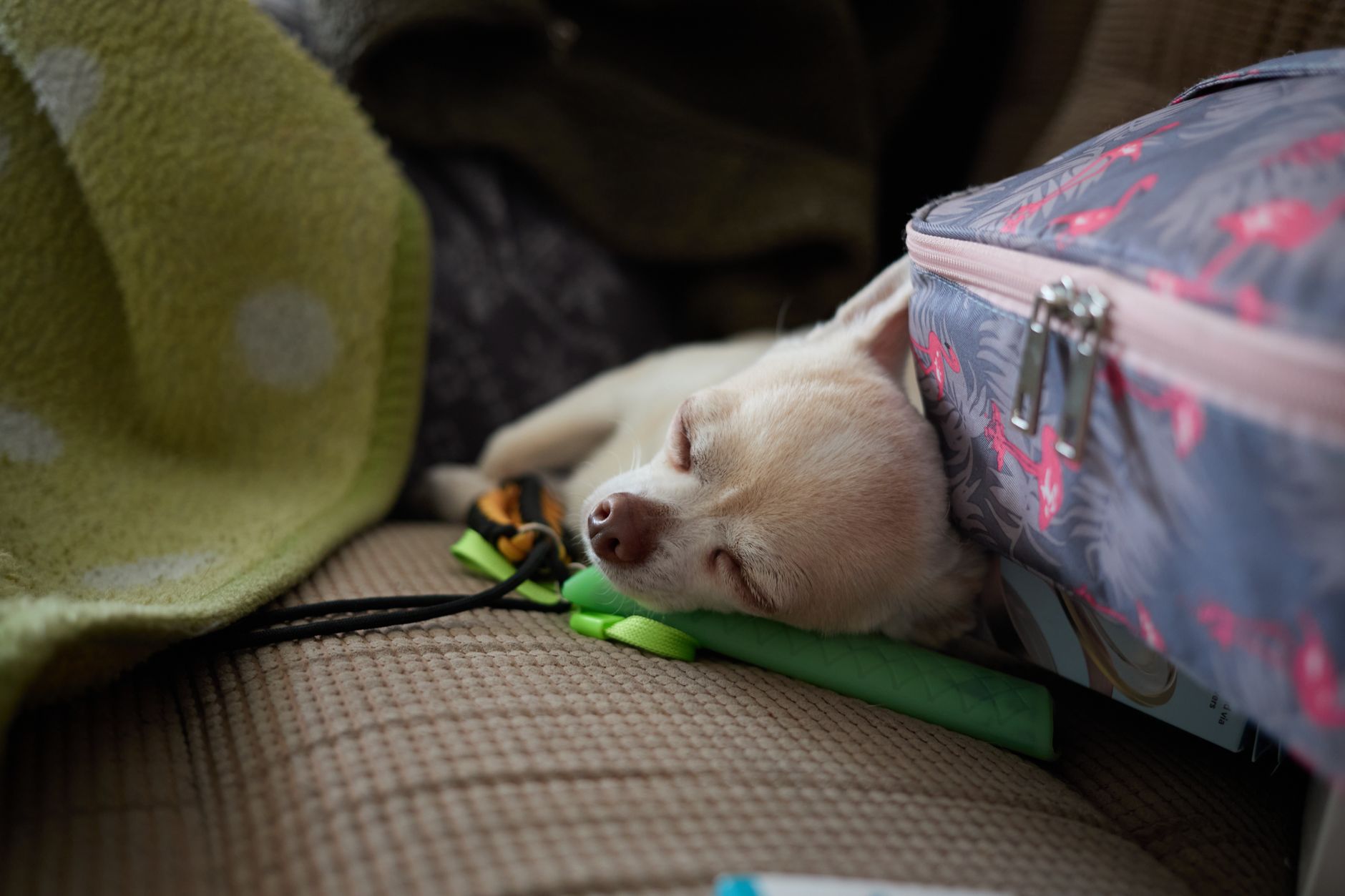 How to Donate a Sleeping Bag: A Practical Guide for UK Households - zdjecie w tresci